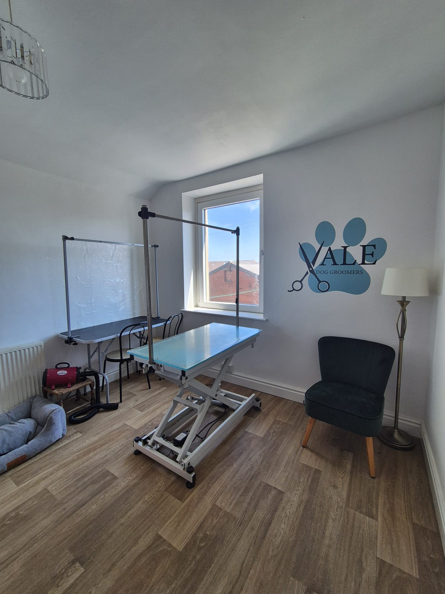 Inside the Vale Dog Groomers salon